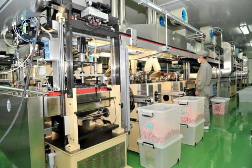 榆社強勢啟動27.6億元投資，38個重點項目聚焦生物化工技術研發